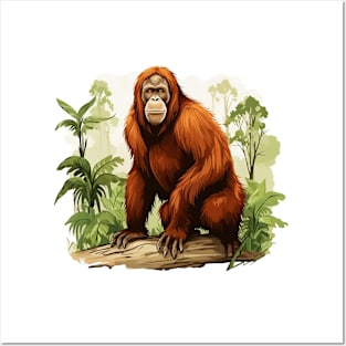 Orangutans Posters and Art